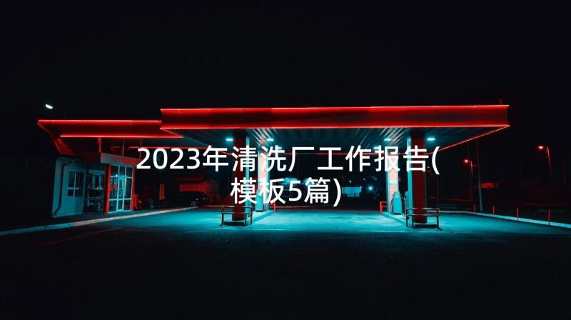 2023年清洗厂工作报告(模板5篇)