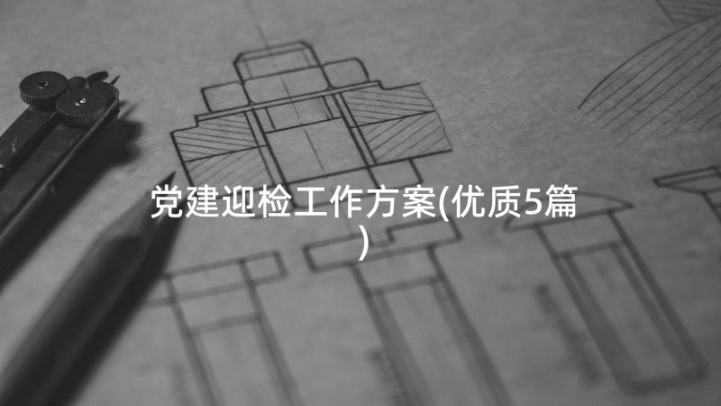 党建迎检工作方案(优质5篇)