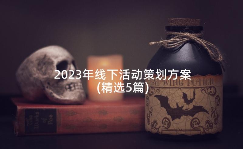 2023年线下活动策划方案(精选5篇)