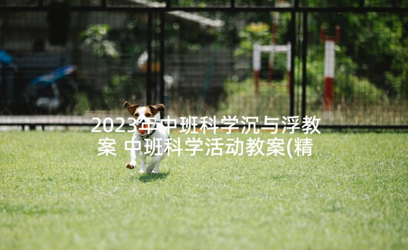 2023年中班科学沉与浮教案 中班科学活动教案(精选5篇)