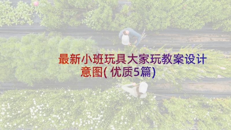 最新小班玩具大家玩教案设计意图(优质5篇)