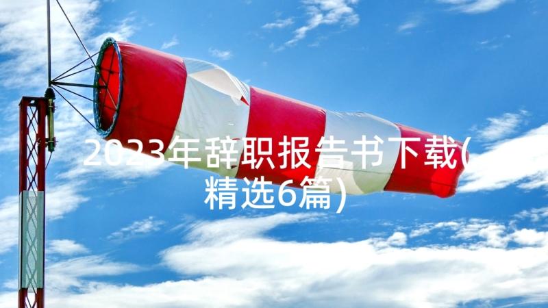 2023年辞职报告书下载(精选6篇)