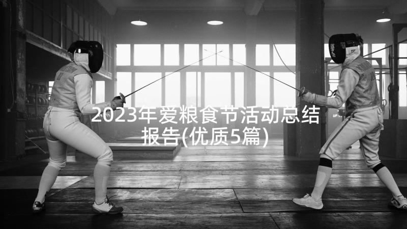 2023年爱粮食节活动总结报告(优质5篇)