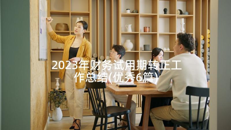 2023年财务试用期转正工作总结(优秀6篇)