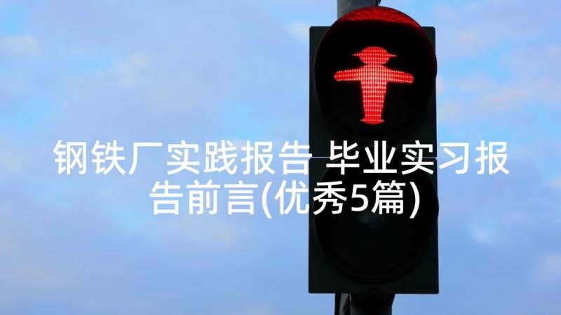 钢铁厂实践报告 毕业实习报告前言(优秀5篇)