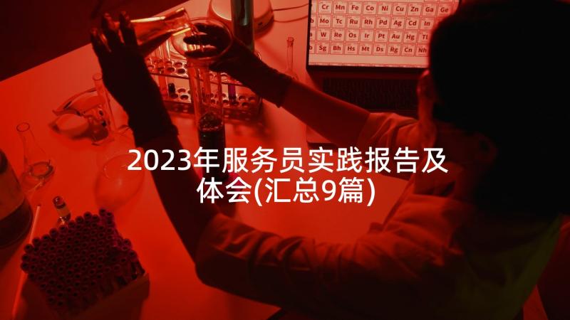 2023年服务员实践报告及体会(汇总9篇)