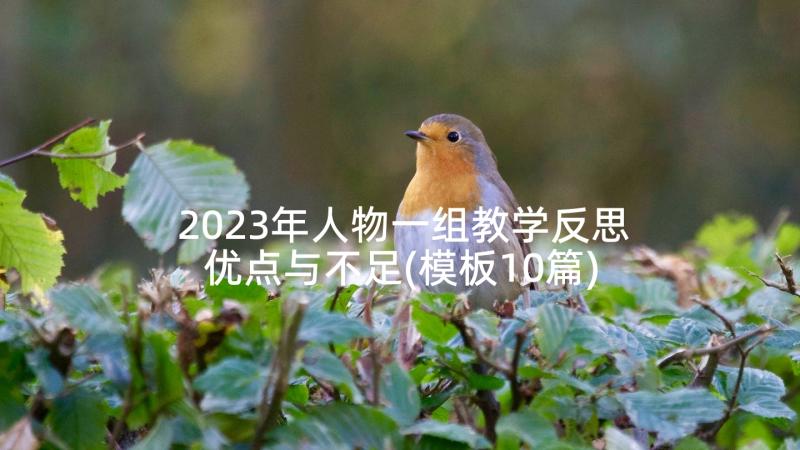 2023年人物一组教学反思优点与不足(模板10篇)