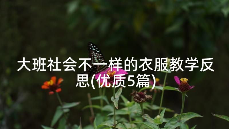 大班社会不一样的衣服教学反思(优质5篇)