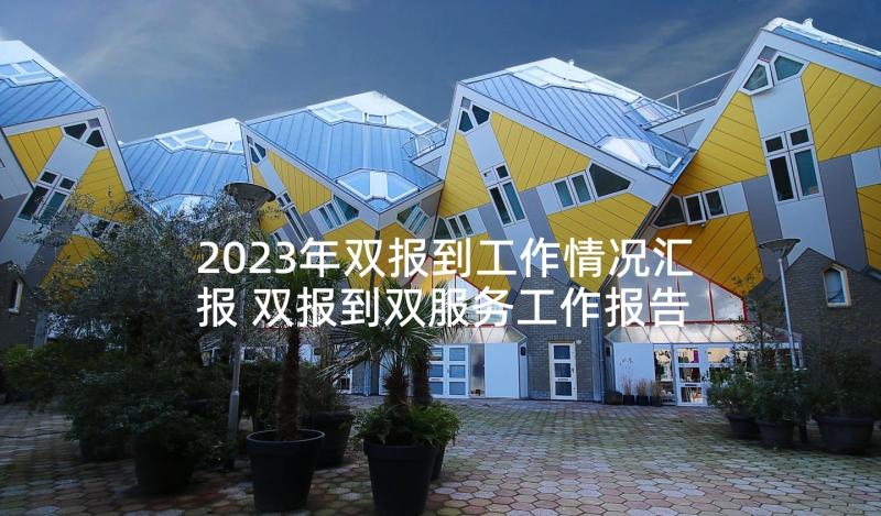 2023年双报到工作情况汇报 双报到双服务工作报告(精选5篇)