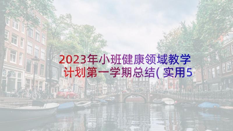 2023年小班健康领域教学计划第一学期总结(实用5篇)