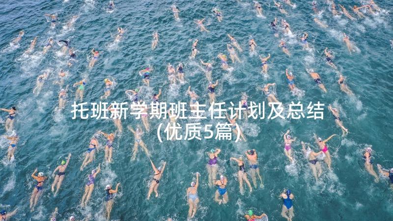 托班新学期班主任计划及总结(优质5篇)