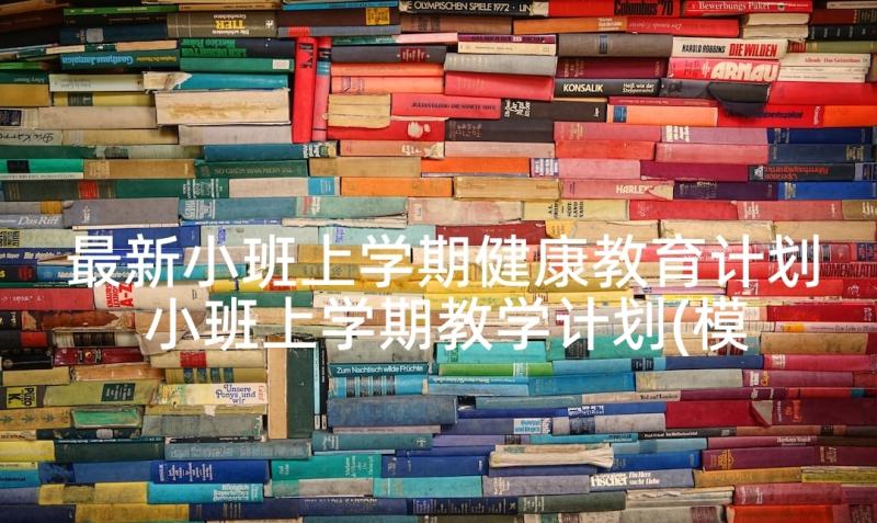 最新小班上学期健康教育计划 小班上学期教学计划(模板7篇)