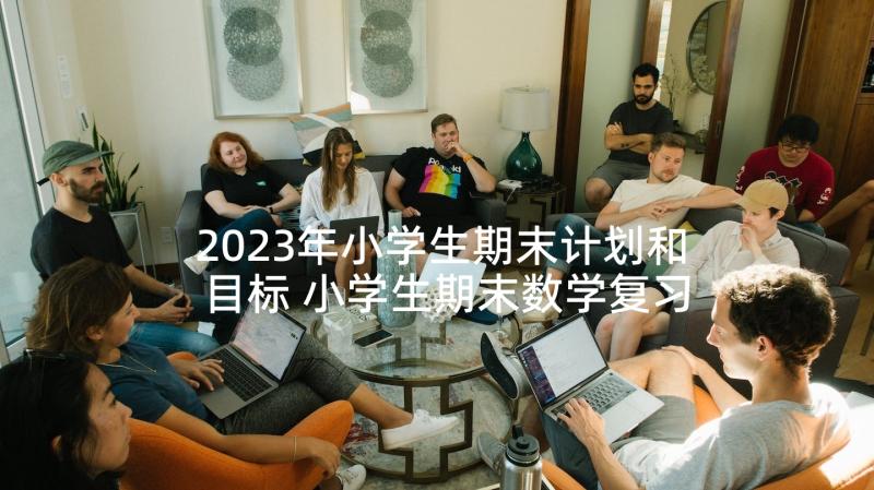 2023年小学生期末计划和目标 小学生期末数学复习计划(汇总5篇)