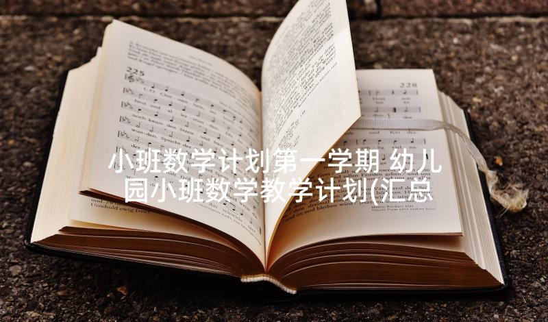 小班数学计划第一学期 幼儿园小班数学教学计划(汇总7篇)