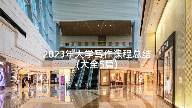 2023年大学写作课程总结(大全5篇)