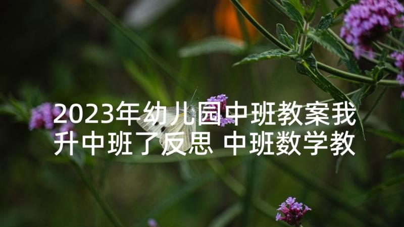 2023年幼儿园中班教案我升中班了反思 中班数学教案及教学反思(实用7篇)