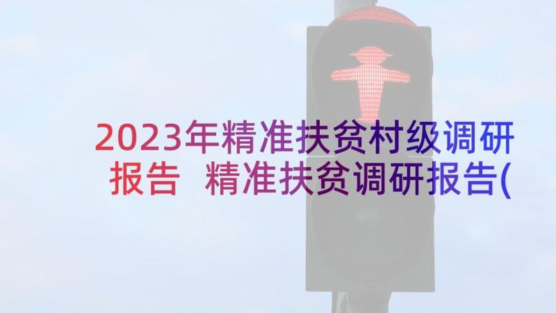 2023年精准扶贫村级调研报告 精准扶贫调研报告(汇总5篇)