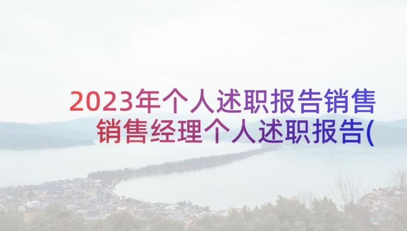 2023年个人述职报告销售 销售经理个人述职报告(实用6篇)