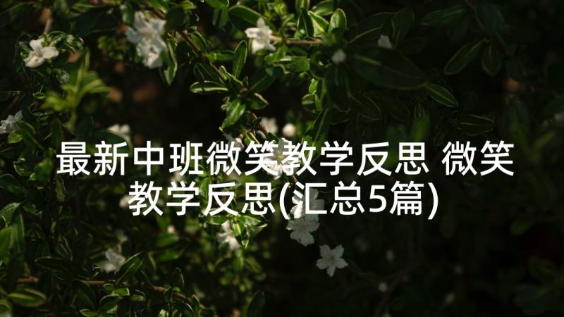 最新中班微笑教学反思 微笑教学反思(汇总5篇)