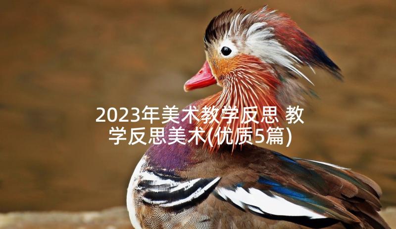 2023年美术教学反思 教学反思美术(优质5篇)