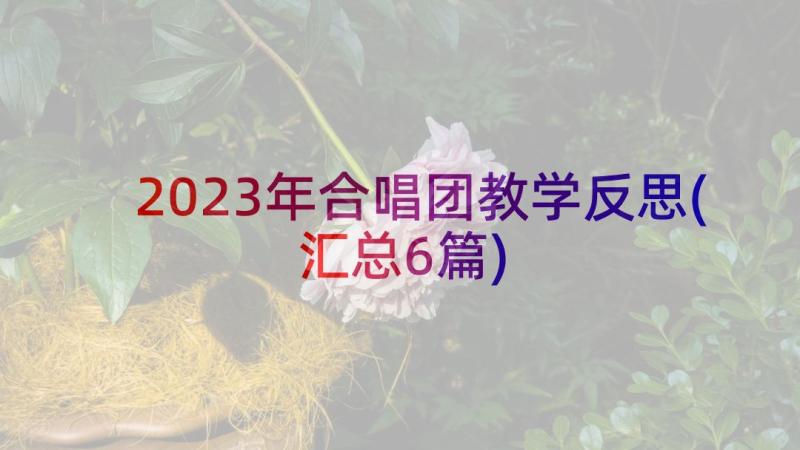 2023年合唱团教学反思(汇总6篇)