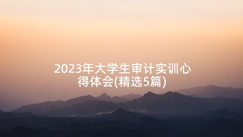 2023年大学生审计实训心得体会(精选5篇)