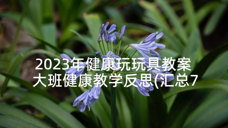 2023年健康玩玩具教案 大班健康教学反思(汇总7篇)