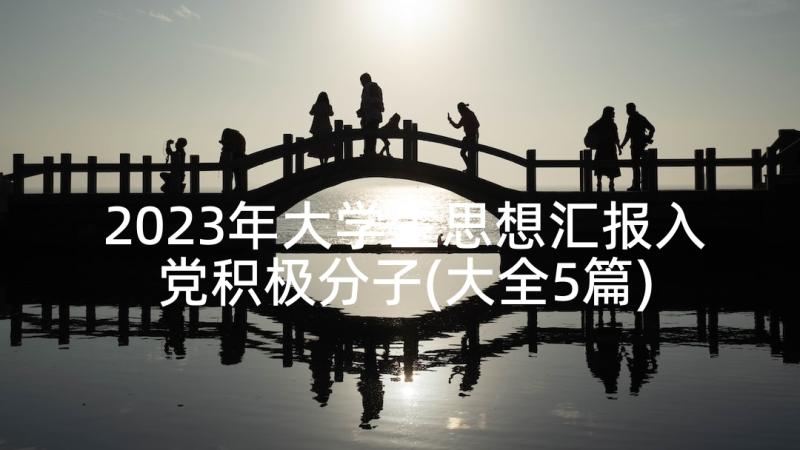 2023年大学生思想汇报入党积极分子(大全5篇)