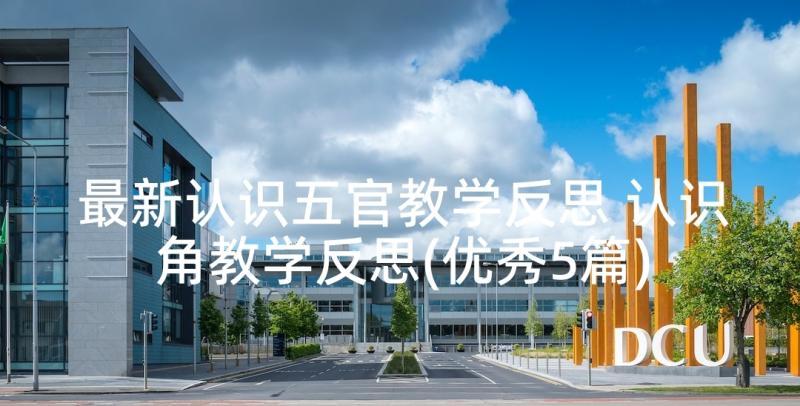 最新认识五官教学反思 认识角教学反思(优秀5篇)