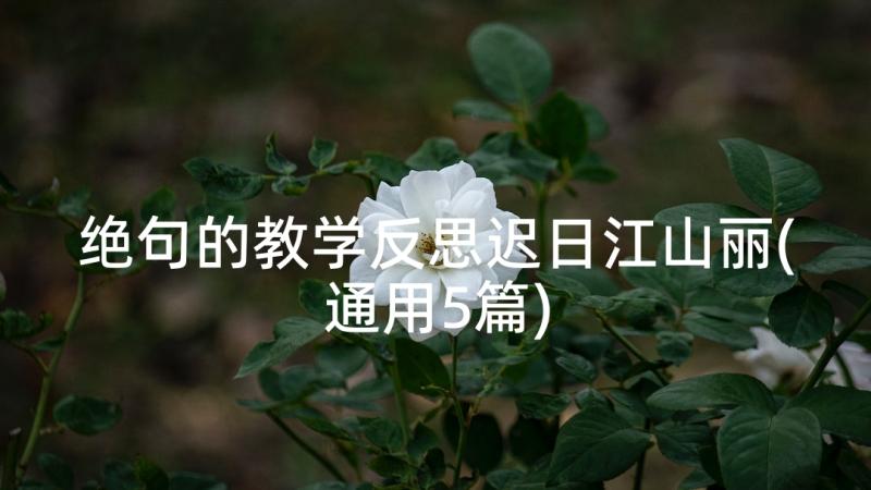 绝句的教学反思迟日江山丽(通用5篇)