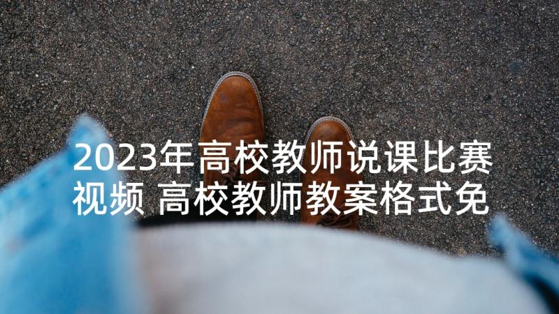 2023年高校教师说课比赛视频 高校教师教案格式免费(汇总6篇)