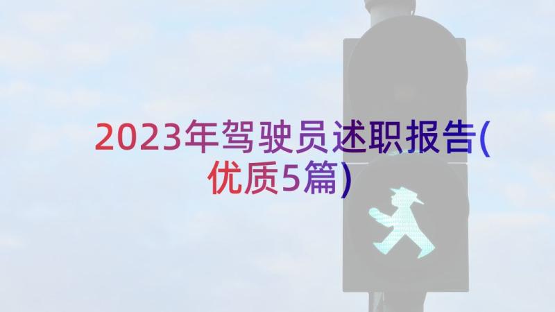 2023年驾驶员述职报告(优质5篇)