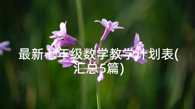 最新七年级数学教学计划表(汇总5篇)