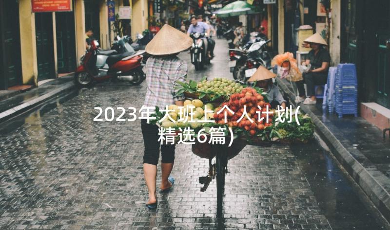 2023年大班上个人计划(精选6篇)