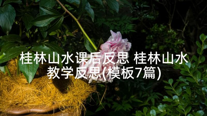 桂林山水课后反思 桂林山水教学反思(模板7篇)