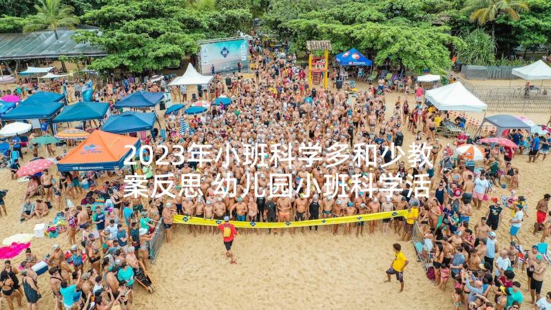 2023年小班科学多和少教案反思 幼儿园小班科学活动教案蛋宝宝含反思(优质10篇)