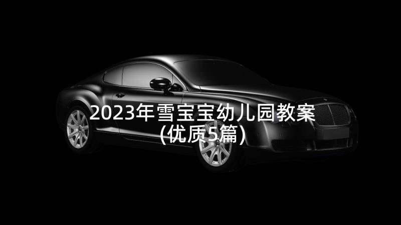 2023年雪宝宝幼儿园教案(优质5篇)