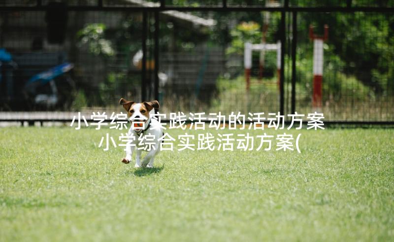 小学综合实践活动的活动方案 小学综合实践活动方案(通用7篇)