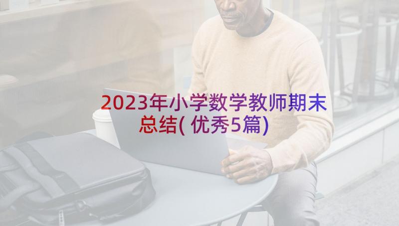 2023年小学数学教师期末总结(优秀5篇)