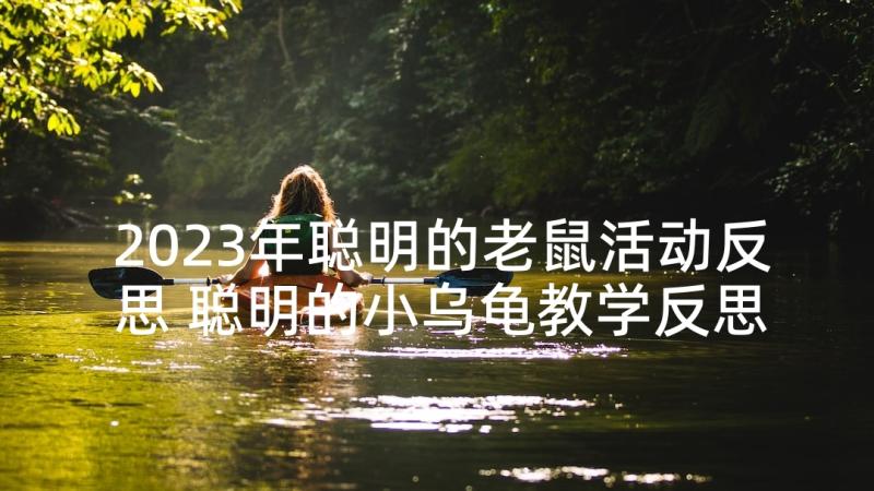 2023年聪明的老鼠活动反思 聪明的小乌龟教学反思(精选5篇)