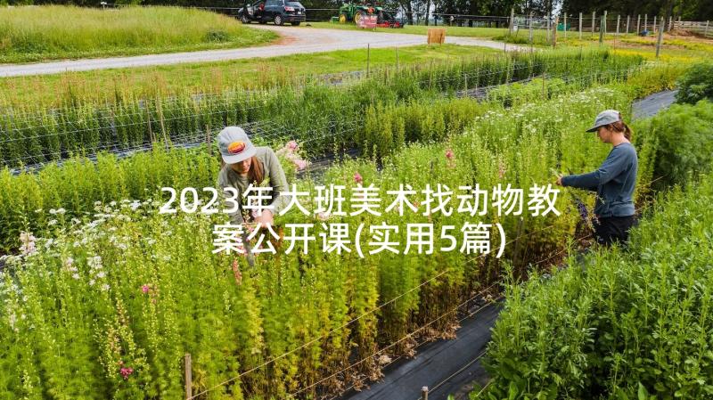 2023年大班美术找动物教案公开课(实用5篇)