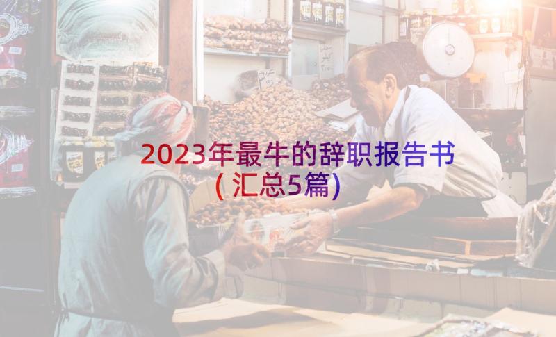 2023年最牛的辞职报告书(汇总5篇)