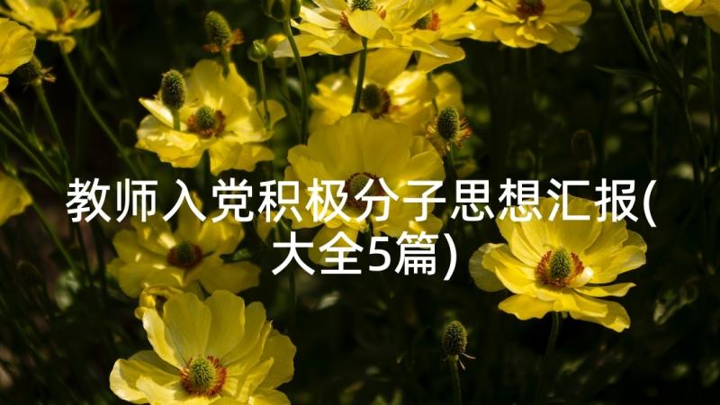 教师入党积极分子思想汇报(大全5篇)