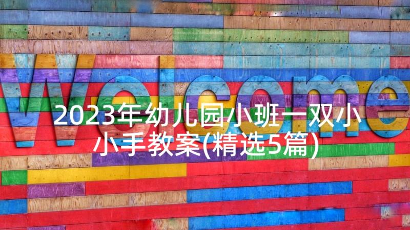 2023年幼儿园小班一双小小手教案(精选5篇)