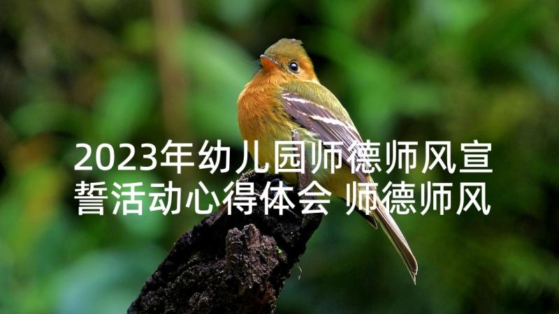 2023年幼儿园师德师风宣誓活动心得体会 师德师风宣誓活动心得体会(实用5篇)