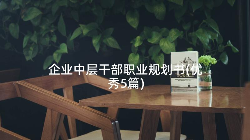 企业中层干部职业规划书(优秀5篇)