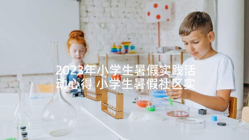 2023年小学生暑假实践活动心得 小学生暑假社区实践活动(优秀9篇)