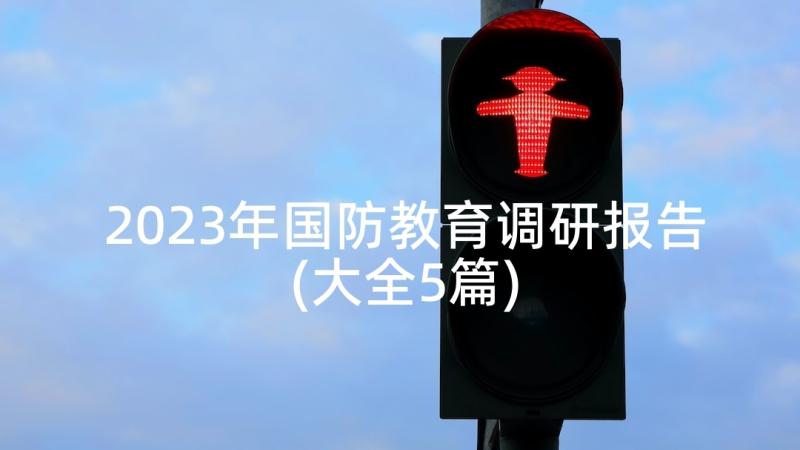 2023年国防教育调研报告(大全5篇)