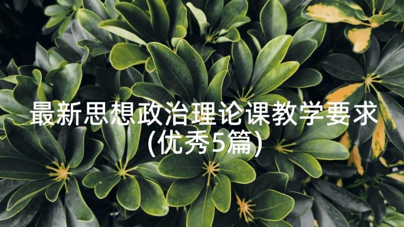 最新思想政治理论课教学要求(优秀5篇)