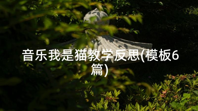 音乐我是猫教学反思(模板6篇)